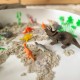 WOOPIE Zestaw Figurki Dinozaury 40 szt.