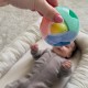 WOOPIE BABY Pastelowa Grzechotka Kula 0m+