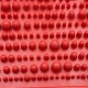 WOOPIE Mata Sensoryczna Ortopedyczna Puzzle 8 el. 1A